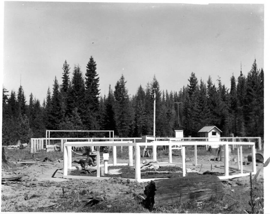 Station under construction at the Canyon Creek inflammability station.