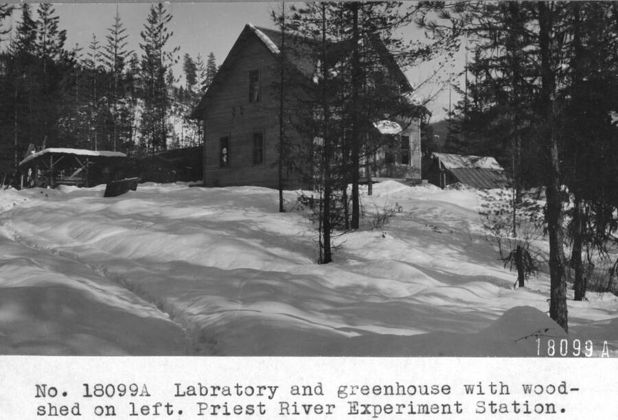 Filed in Priest Creek Experimental Forest Photo box #4: "Laboratory and greenhouse with woodshed on left. Priest River Experimental Station."