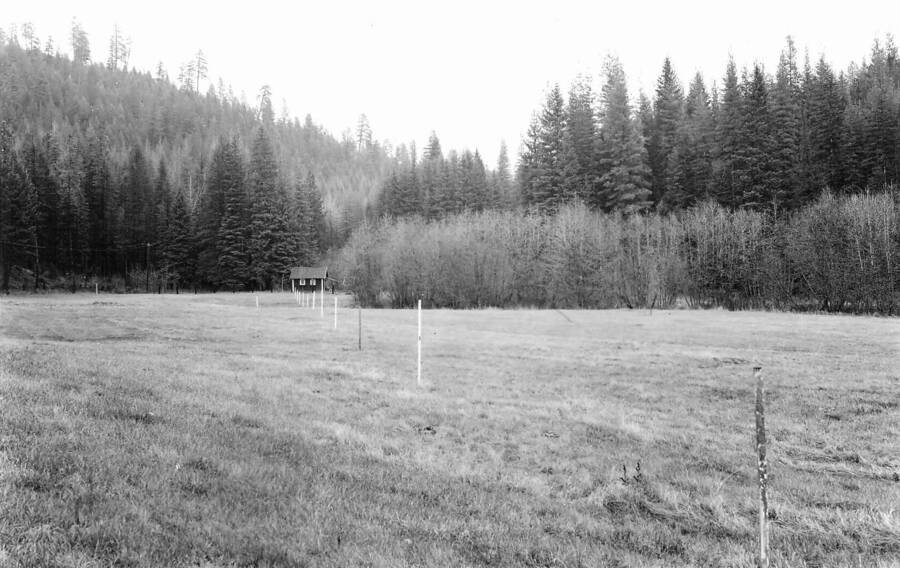 From a folder of file memos and documentation for the establishment of Benton Meadow and Benton Spring snowcourses. This photo of Benton Meadow when the snowcourse was initially set-up in the meadow. Back of photo reads: "Benton Meadow snowcourse from witness post looking east toward Benton Meadow cabin.  December 21, 1939.  DGM 40-1."