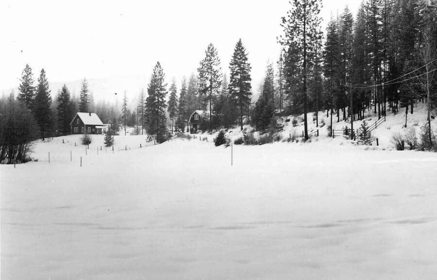 Back of photo reads: "Benton Meadow snowcourse as seen from Benton Meadow scaler's cabin; facing west. January 31, 1940. DGM 40-11."