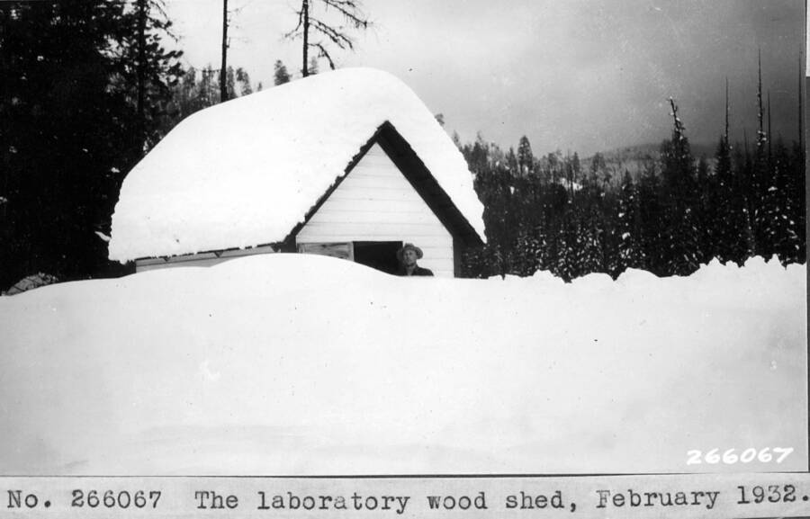 The laboratory wood shed, February 1932.