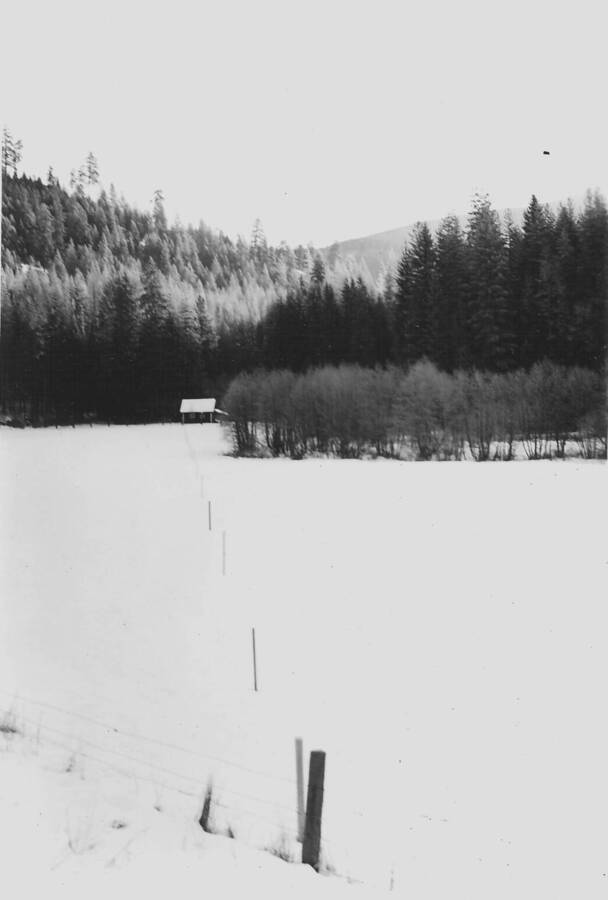 Back of photo reads: "Benton Meadow snowcourse from road edge on bank above initial point, looking toward Benton Meadow cabin.  January 31, 1940.  DGM 40-10."