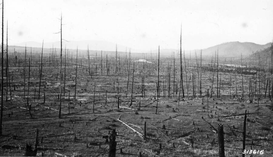 Filed in Priest Creek Experimental Forest Photobox#4: View of 'Peninsula' country, Priest River Valley, Idaho. Formerly one of the finest stands of wester white pine in northern Idaho. Now exploited, denuded, burned, made unproductive. An example of private 'forestry' in Idaho. September 25, 1935.