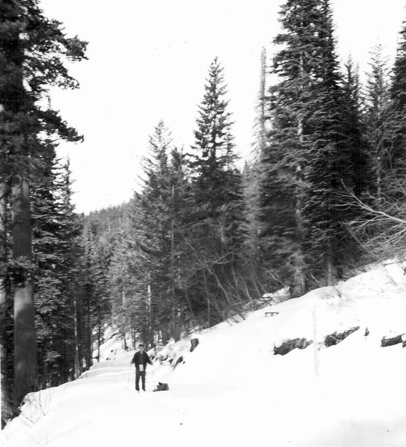 Back of photo reads:"Upper Benton snowcourse from Upper Benton Spring, looking north toward initial point from 2300' station. January 30, 1940. DGM 40-6".
