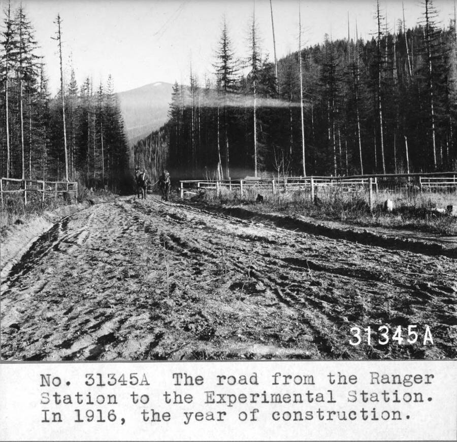 The road fron the Ranger Station to the Experimental Station. In 1916, the year of construction.  From photo record: "New road leading from stage road to Exp. Sta. Devil's Looking Glass and head of Benton Creek unit - Exp. Forest in background."