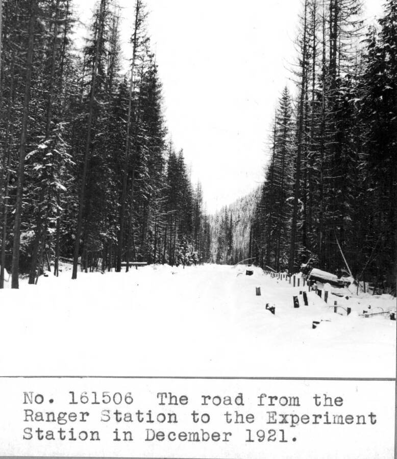 The road from the Ranger Station to the Experimental Station in December 1921.