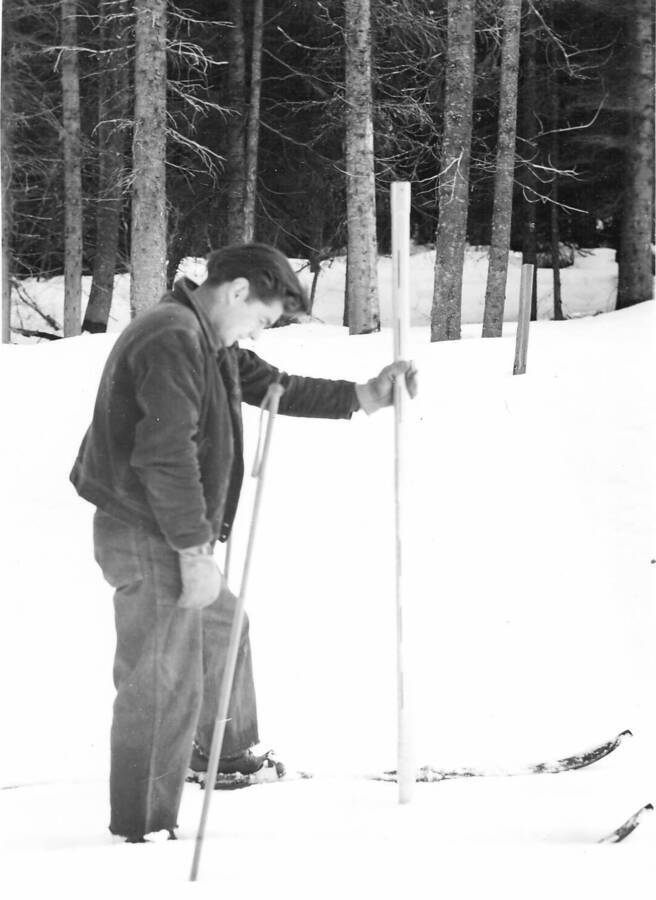 Back of photo reads: "Snow sampling tube in snow at initial point of Upper Benton snowcourse. January 30, 1940. Felix Hebenstreit, CCC enrollee, holding tude. DGM 40-4"