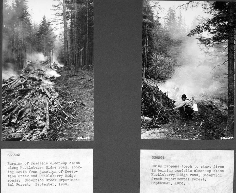 336593 Burning of roadside clean-up slash along Huckleberry Ridge road, looking south from the junction of Deception Creek and Huckleberry Ridge roads. Deception Creek Experimental Forest, 1936. 336594 Using propane torch to start fires in burning roadside clean-up slash, Huckleberry Ridge road, Deception Creek Experimental Forest. Spetember 1936