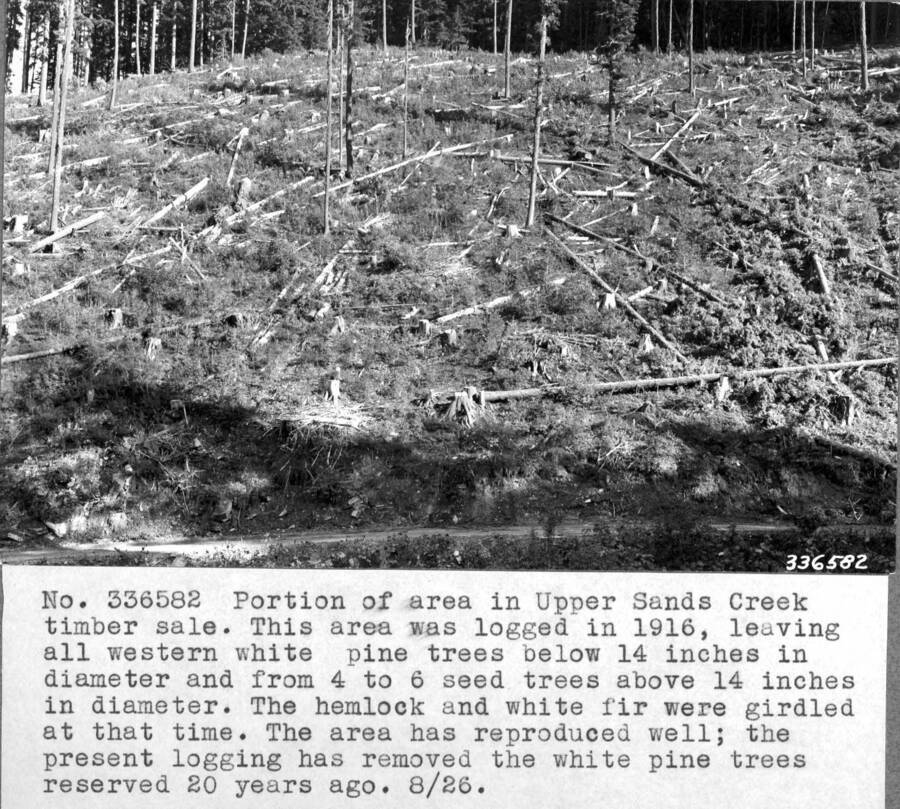 Portion of area in Upper Sands Creek timber sale. This area was logged in 1916, leaving all western white pine trees below 14 inches in diameter and from 4 to 6 seed trees above 14 inches in diamater. The hemlock and white fir were girdled at that time. The area has reproduced well; the present logging has removed the white pine trees reserved 20 years ago. 8/36