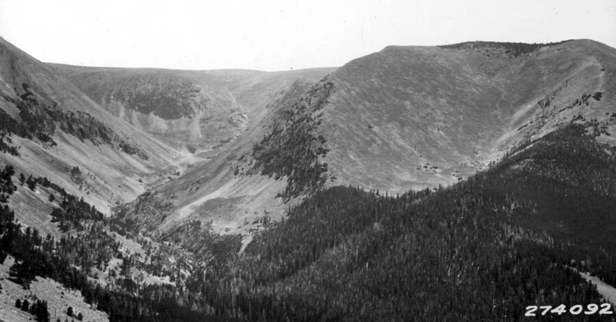 Little Fork Loco Creek, Crazy Mtns in the Absaroka National Forest. 8/17/32.