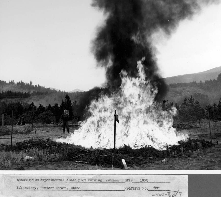 A study of rate of spread and heat pulse of slash of varying composition, dryness, and arrangement was conducted at Priest Creek Experimental Forest on the site of the Arboretum and CCC camp.  George Fahnstock was the principle investigator."Experimental slash plot burning, outdoor laboratory, Priest River, Idaho."