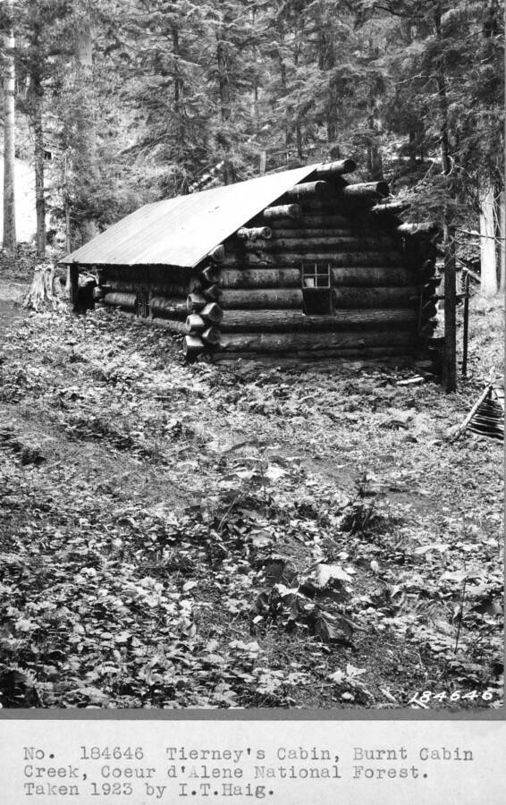 Tierney's Cabin, Burnt Cabin Creek, Coeur d'Alene NF. Taken 1923 by I.T. Haig.