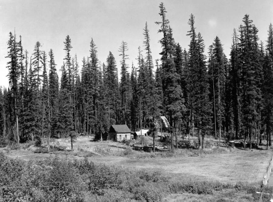 A ranch in timber near Gleason School, West Branch of Priest River
