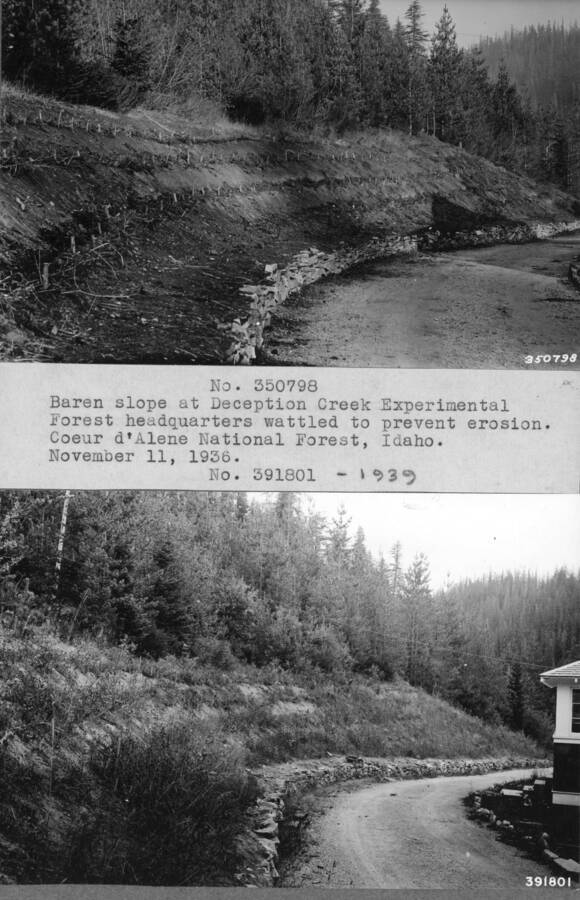 No. 350798-Baren slope at Deception Creek Experimental Forest headquarters wattled to prevent erosion. Coeur d'Alene NF, Idaho. November 11, 1936.  No. 391801 - 1939