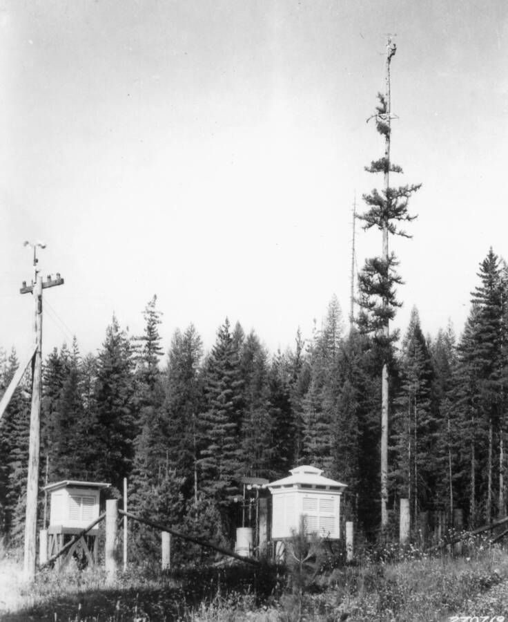 Weather station with telephone pole and wind gage and 150' weather tree.