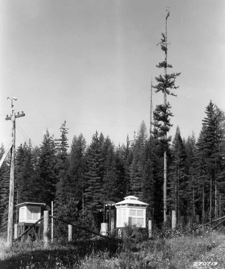Weather instruments and spar tree, Priest River Experimental Station. Scanned from a copy framed and hanging in the lodge.