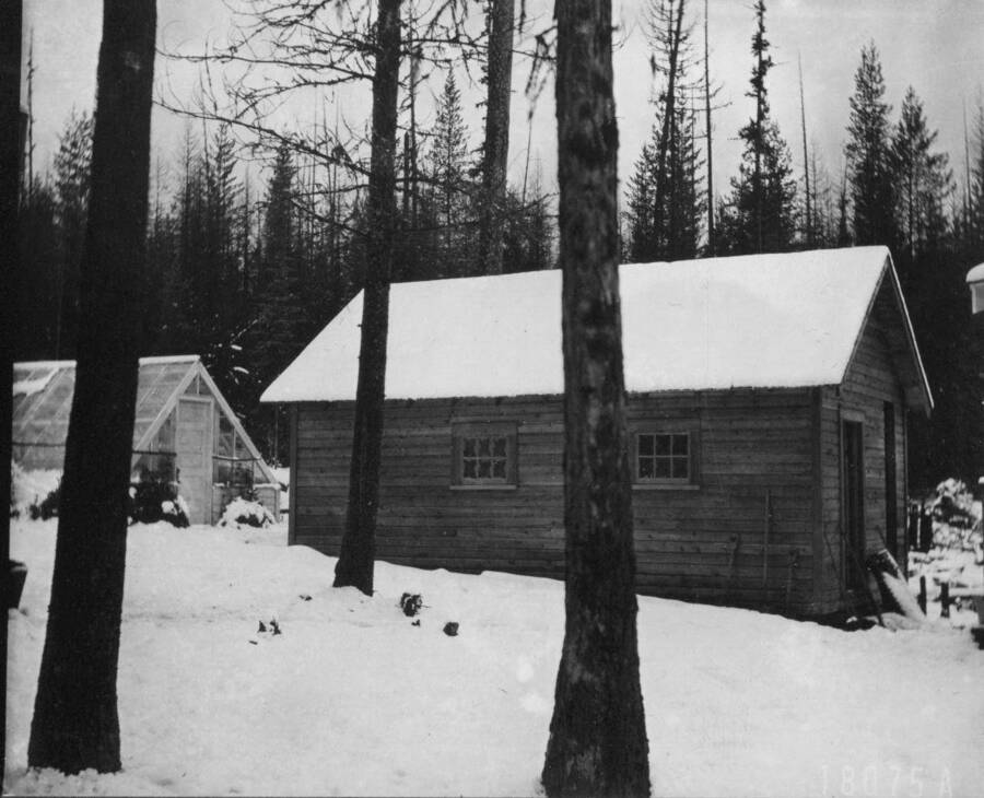 Combination shed for workshop, tools, wood and ice and greenhouse work. Built in September 1913. Priest River Experimental Station. November 1913.