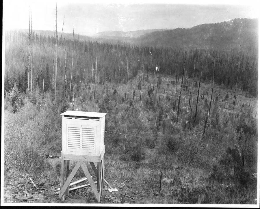 Experimental planting site and control meteorological station on Benton Flat, Priest River Experiment Station. Looking south from southwest slope meteorological station. Note shelter for self-recording thermometer in foreground; also trail connecting weather station on slope and flat. Other trails connect each weather station with the Laboratory.