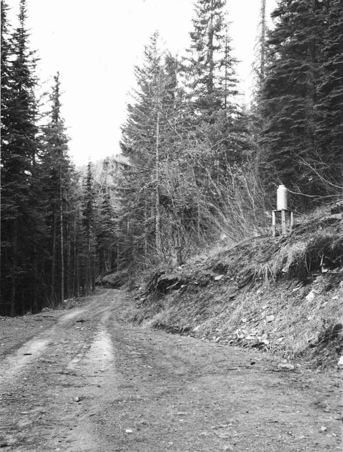 Back of photo reads: "Upper Benton Snowcourse looking north from Upper Benton spring (actually shows South Ridge road which at this point is the snowcourse). Freiz recording precipitation gage on bank at right. December 4, 1939 No snow on road or in adjacent woods. f-32, 1 sec., distance at inf., verichrome, DM 39-3"