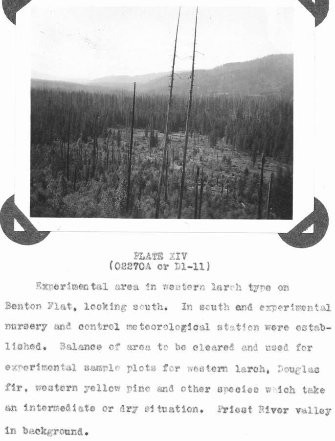 Plate XIV caption: "Experimental area in western larch type on Benton Flat, looking south. In south end experimental nursery and control meteorlogical station were established. Balance of area to be cleared and used for experimental sample plots for western larch, Douglas fir, western yellow pine, and othe species which take an intermediate or dry situation. Priest River valley in background."