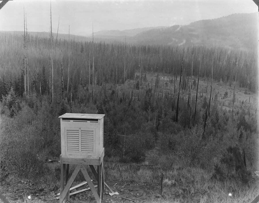 Plate XIV -A- caption: "Same view of experimental area in Western Larch type (Benton Flat) as shown in Plate XIV; taken from southwest slope meteorological station and showing Benton Flat after brush had been cleared from sample plots which were to be planted in fall of 1911, and after the meteorological instruments had been set up."