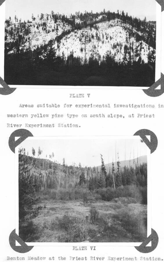 Plate V caption: "Areas suitable for experimental investigations in western yellow pine type on south slope, at Priest River Experimental Station." Plate VI caption: "Benton Meadow at the Priest River Experimental Station."