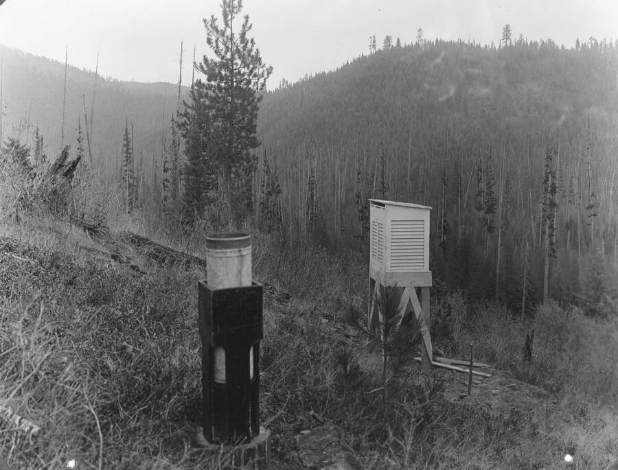 Plate XVI caption: "Meteorological station on southwest slope, Priest River Experimental Station." Notice presence of yellow pine seedlings in the foreground and tall spires of fire-killed larch and the dense stand of young larch on the bench beyond; on northerly slope in the background well stocked stand of white pine, Douglas fir and larch. These three sites represent the three most important types of the region, the dry yellow pine and Douglas fir type of the southest slopes, the intermediate larch type of the more or less dry bench land, and the white pine type of the moist northerly slopes.