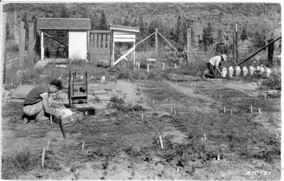 Quadrat on instrumental arrangement for study of factors affecting seedling survival. Western white pine types-clear cut habitat. Phytometers-are used for studying loss of water from plants. Man in foreground taking soil moisture measurements. Man on left is Wellner, on right is I.T. Haig. Wellner dated this photos as 1932.