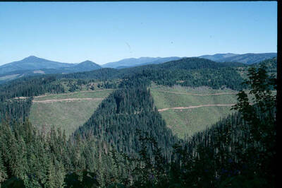 Recent, landscape view, found in Wellner files.