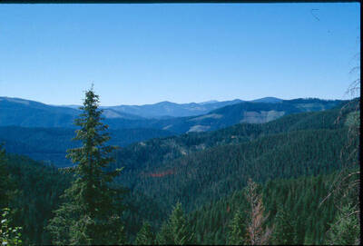 Recent, landscape view, found in Wellner files.