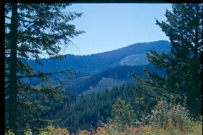 Recent, landscape view, found in Wellner files.