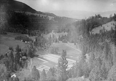 D.S. Olson, first Nurseryman at Savenac Nursery, wrote in his brief history of Savenac, that the Boulder Nursery (to serve the Helena forest, along with one at Trapper Creek to serve the Bitterroot and another at Camp Crook to serve the Dakota National Forest), were established in 1908. These nurseries were maintained by a district ranger and known as ranger nurseries. Boulder and the other ranger nurseries were abandoned in 1916. Back of photo reads: "View of Boulder Nursery, Helena National Forest, Montana."