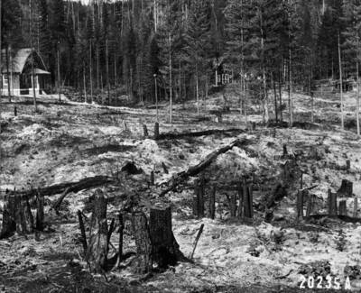 Filed in Priest Creek Experimental Forest Photo box #4: "Priest River Experimental Station - cottages and grounds at station."