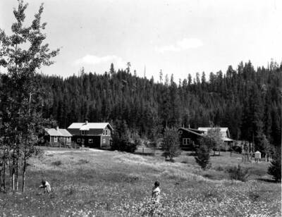 Unidentified children in the daisies, probably Helen and Louise Thompson, daughters of J.B.Thompson; weather station and cottages 1, 2, and 3 are pictured in background.