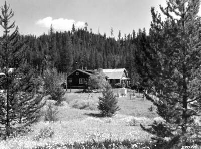 Filed in Priest Creek Experimental Forest Photo box #4.