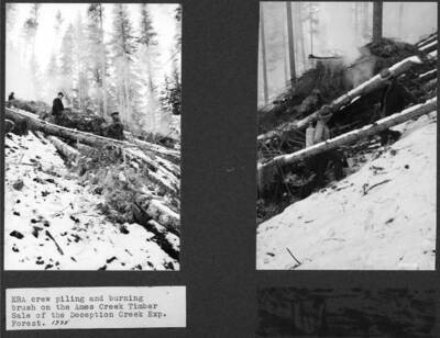 314117: "ERA crew piling and burning brush on the Ames Creek Timber Sale of the DCEF. 1935."  314118: "A member of an ERA crew igniting brush and slash by means of a propane torch - Ames Cr. Timber Sale - DCEF November 1935."