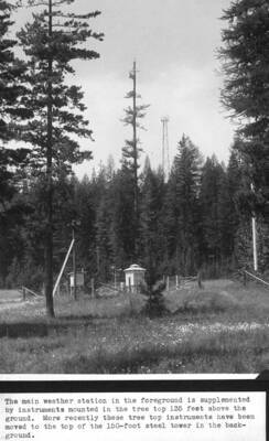 The main weather station in the foreground is supplemented by instruments mounted in the tree top 135 feet above the ground. More recently these tree top instruments have been moved to the top of the 150-foot steel tower in the background.