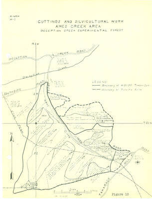 From the 1936 Annual Report, Fig. 13, silvicultural work in Ames Creek area.