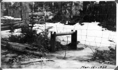Large dowel tested at an inflammability station for reliability in measuring fuel moisture. The following two photos show a variety of diameters being tested.