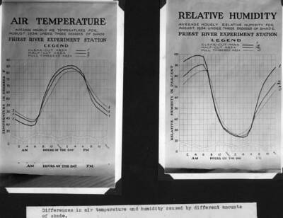 Differences in air temperature and humidity caused by different amounts of shade.