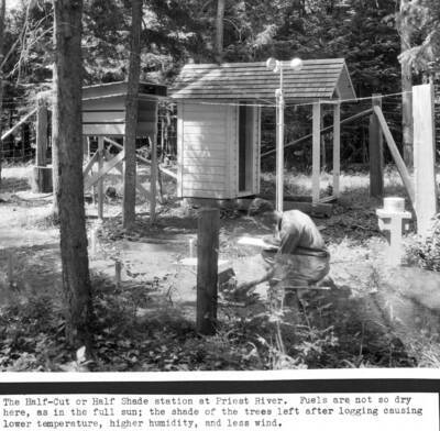 The Half-Cut of Half Shade station at Priest River. Fuels are not so dry here, as in the full sun; the shade of the trees left after logging causing lower temperature, higher humidity, and less wind. G.L. Hayes pictured.