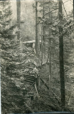 Photos series of the buildings found on the Arthur Demorest claim, settled 1906 near the mouth of Demorest Creek.  Photos are glued to black kraft paper and hanging in the 3rd floor hallway, Moscow Forest Sciences Laboratory.  These photos appeared in the 1936 Annual Report. No other descriptions available.