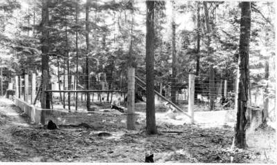 Northern Rocky Mountain-Making observations on half-cut inflammability station on Priest River Experimental Forest. 1932.