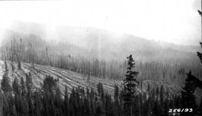 Ditto. (Another view looking east.) 1924.