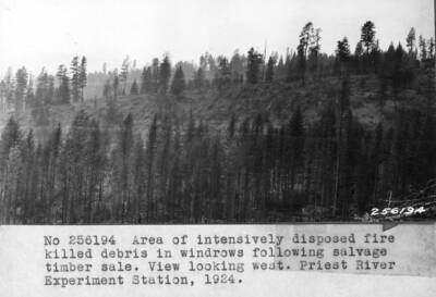 Ditto. View looking west.