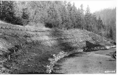 This sequence illustrates the development of vegetation on the slope over a period of ten years.