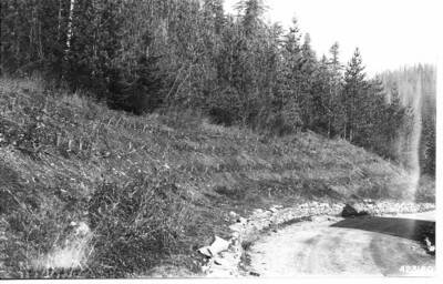 This sequence illustrates the development of vegetation on the slope over a period of ten years.