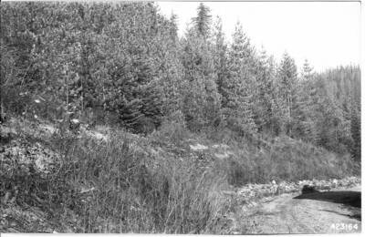 This sequence illustrates the development of vegetation on the slope over a period of ten years.