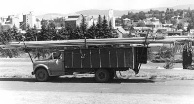 According to Pat Wells, this irrigation pipe was used in the white pine orchard at the University of Idaho.