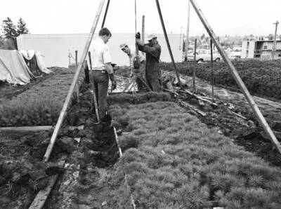 Moscow Nursery 1971, lifting 3-0 WWP. Left to Right: Pat Wells, Ray Steinhoff, Jerry Rehfeldt.
